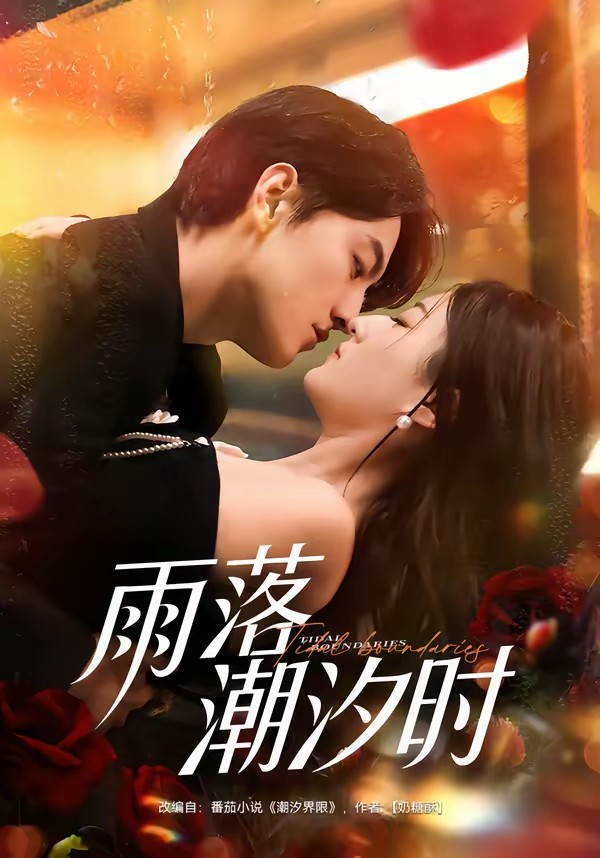 雨落潮汐时封面图