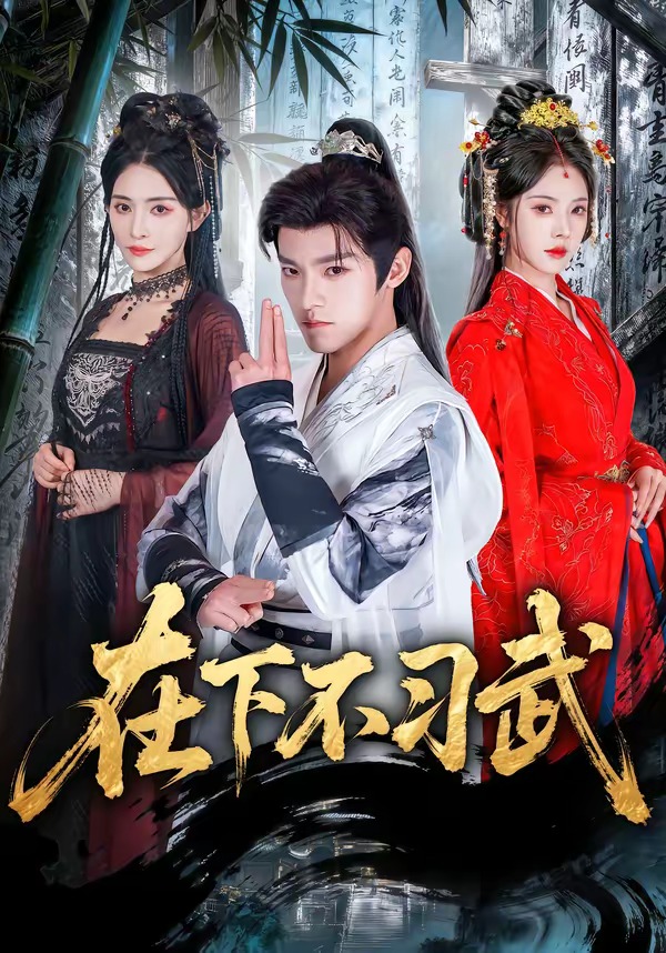 在下不习武封面图