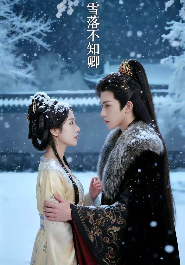雪落不知卿