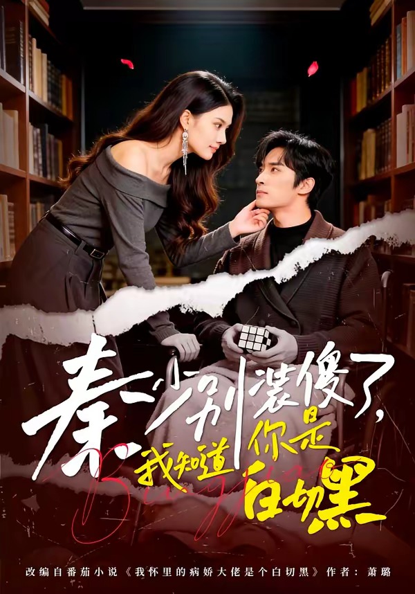 秦少别装傻了，我知道你是白切黑封面图