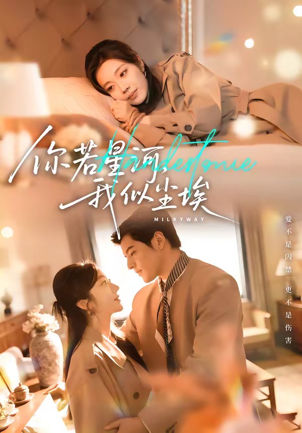 你若星河，我似尘埃封面图