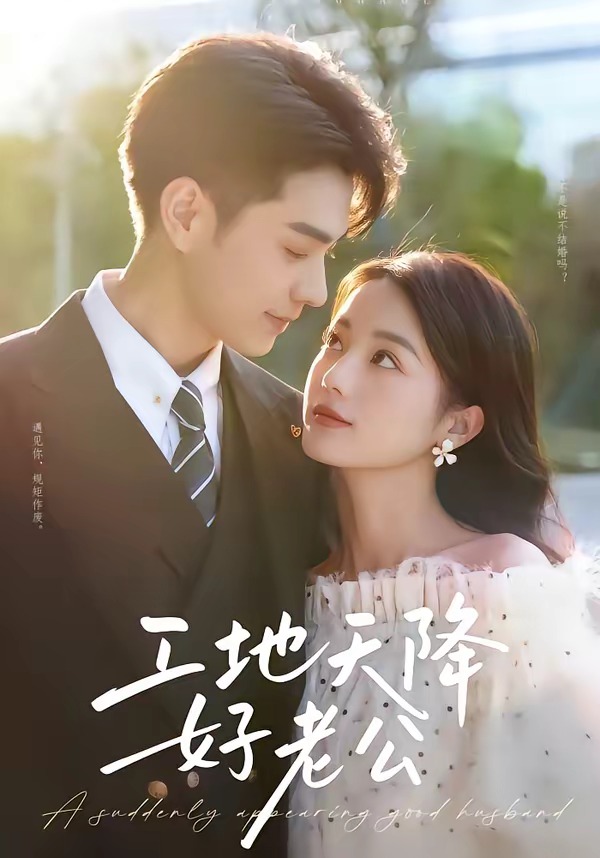 工地天降好老公封面图