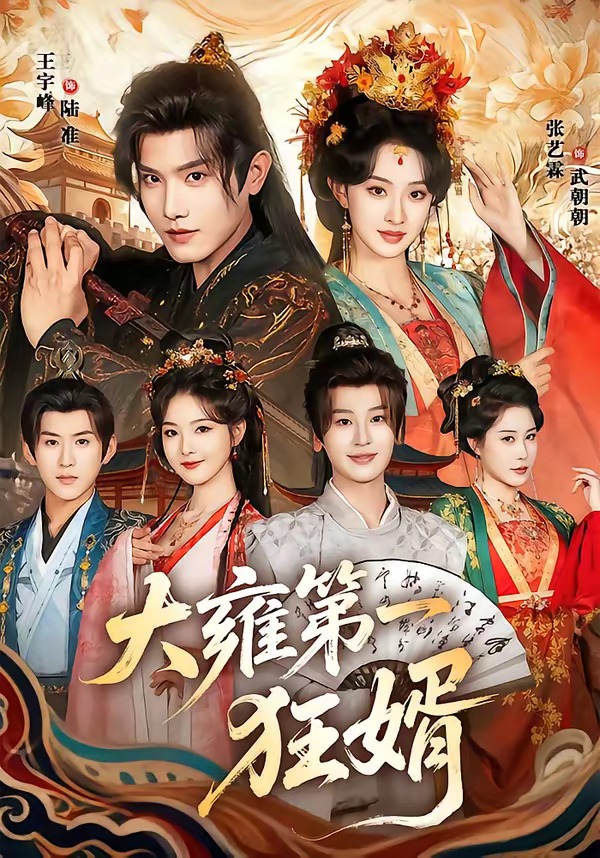 大雍第一狂婿封面图