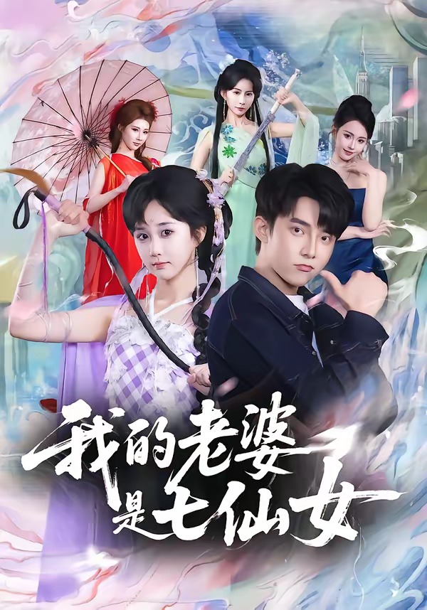 我的老婆是七仙女封面图