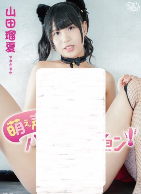 山田瑠夏 萌え声バイブレーション！ [MBR-AA348]