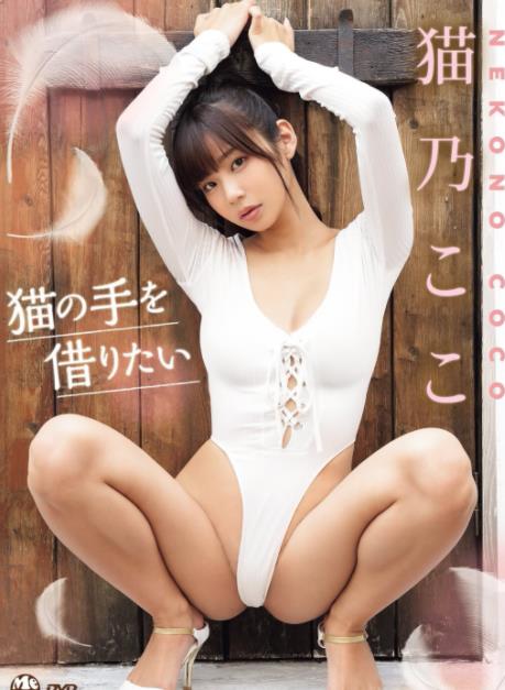 猫の手を借りたい 猫乃ここ [OME-558]