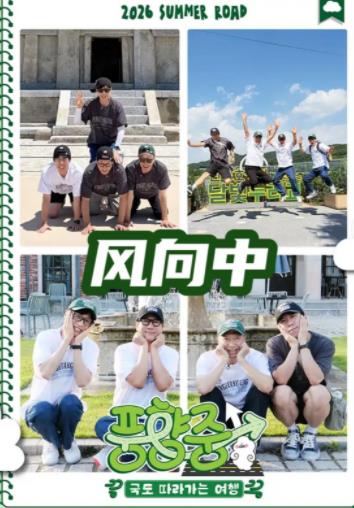 风向中封面图