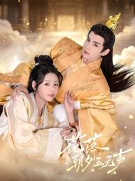 花落朝夕玉无声封面图
