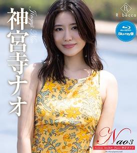 黄色温柔时光
