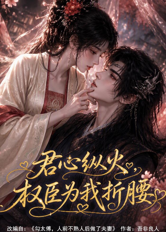 君心纵火权臣为我折腰封面图