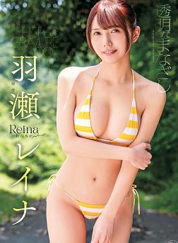 透明的目光